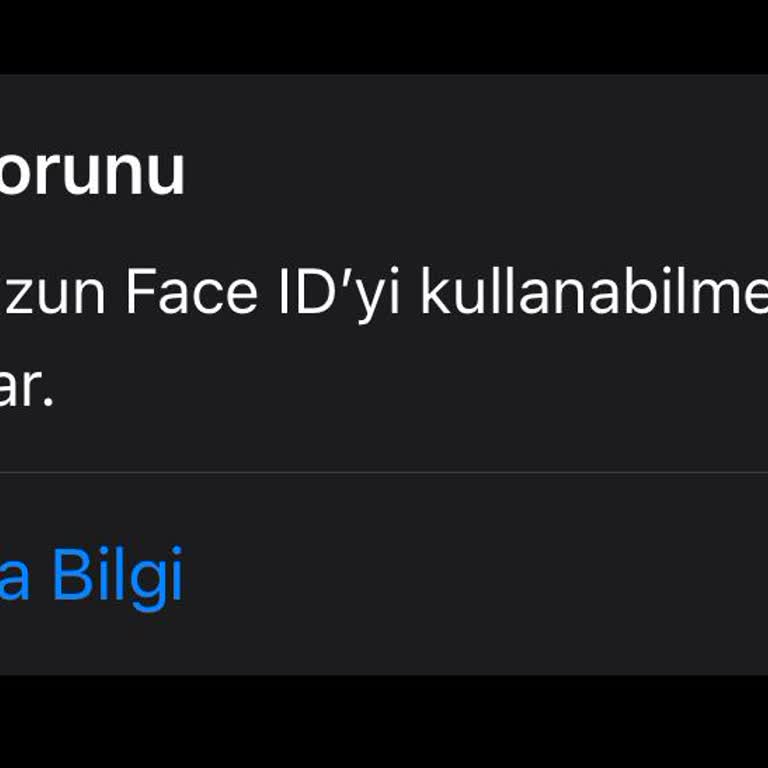 Apple İPhone İos 17.5 Sorunu