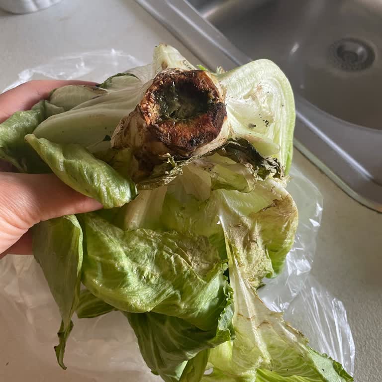 Migros Hemen Çürümüş Sebze Sürekli Oluyor