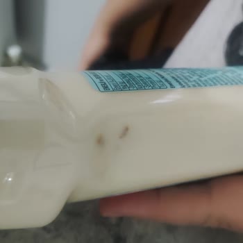 Tat Gıda Tat Marka Az Yağlı Mayonez