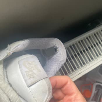 Büyük Firma Diye Tabir Edilen Çiçeksepeti.com'un İlgisizliği