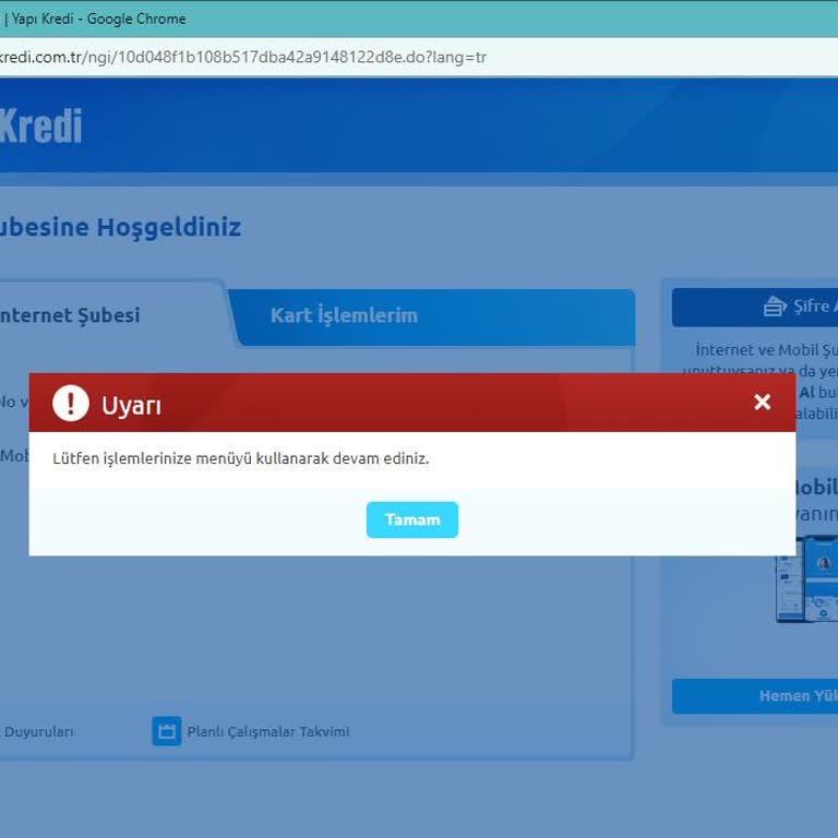 Yapı Kredi İnternet Şube Mobil Şube Sorunlarını Çözemiyor