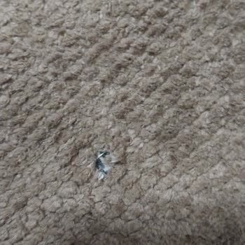 Decoser Halı Halılar Göründüğü Gibi Gelmedi