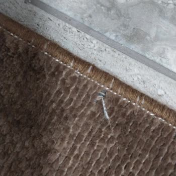 Decoser Halı Halılar Göründüğü Gibi Gelmedi