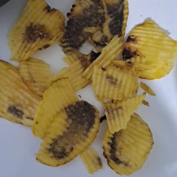 Amigo Cipsinin Üzerinde Siyah Bir Şeyler Var