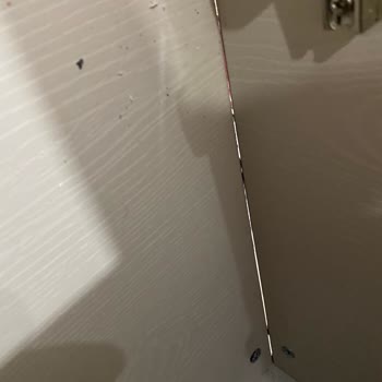 Modalife Türkiye'nin Sözde En Büyük Firmasının Yaptığı Saçmalık