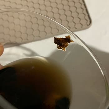 Coca-Cola İçinden Garip Bir Şey Çıktı