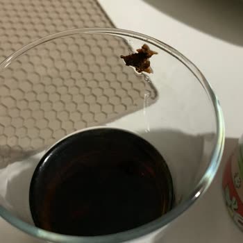 Coca-Cola İçinden Garip Bir Şey Çıktı