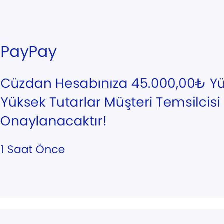 PayPay Yatırım İşlemi Beklemede: Yüksek Tutar Onayı Bekliyor