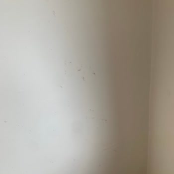 Polisan Boya Karışımında Yaşanan Sorunlar