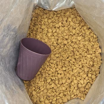 Advance Türkiye Advance Sterilize Somonlu Kedi Maması