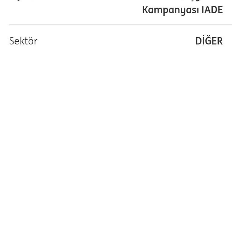 ING Bankın Bonus Oyunu