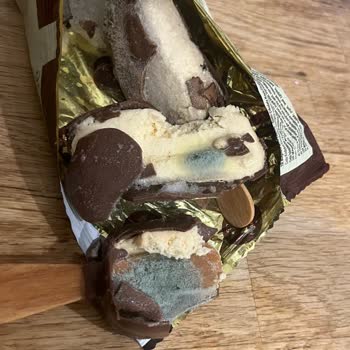 Küflenmiş Bozuk Magnum Mini