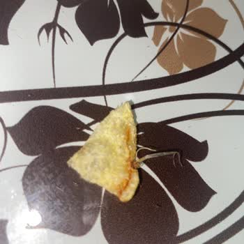 Lays Klasik Cips Plastik İp