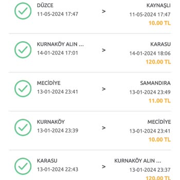 Yurt Dışında Olan Aracımın HGS Hesabındaki Sıkıntı