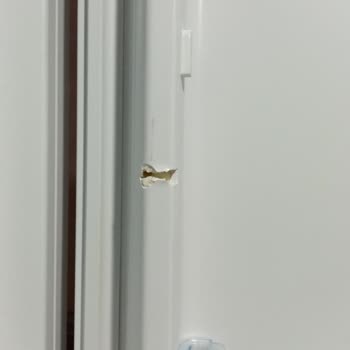 Bosch Malına Sahip Çık