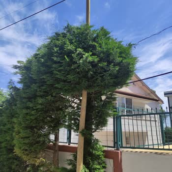 Millenicom 3 48 Saatte Çözülemeyen Arıza Hk.