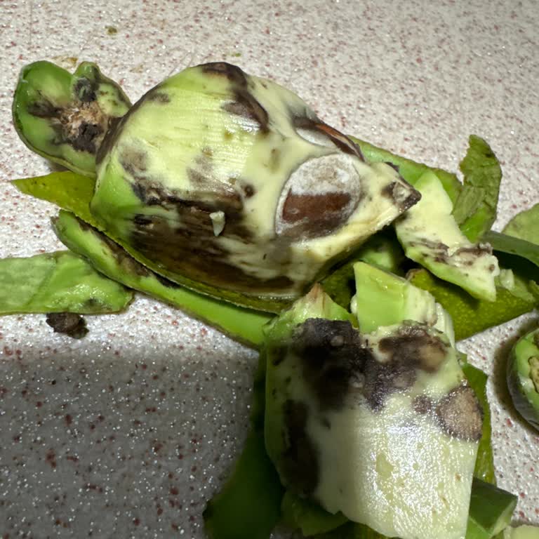 Çürük Avokadolar Migros'ta