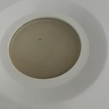 Chicco 3 İn 1 Buharlı Sterilizatör