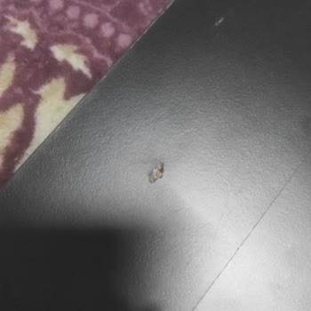 Hepsiburada İlgili Muhatap Yok Çöp Oldu Param