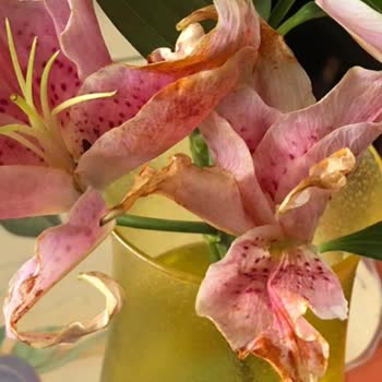 Çiçek Sepeti Hastalıklı Ve Solmuş Çiçek Gönderdi