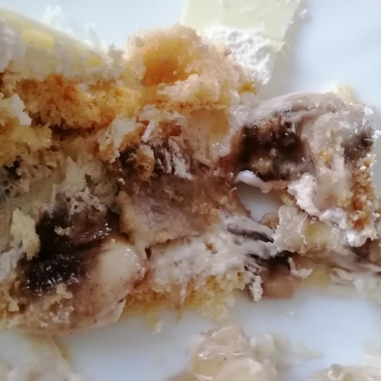 Namlı Fırın Çürük Meyveli Bayat Beklemiş Pasta Satıyor