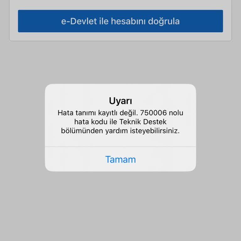Sahibinden E-Devlet Başka Hesaba Bağlı Sorunu