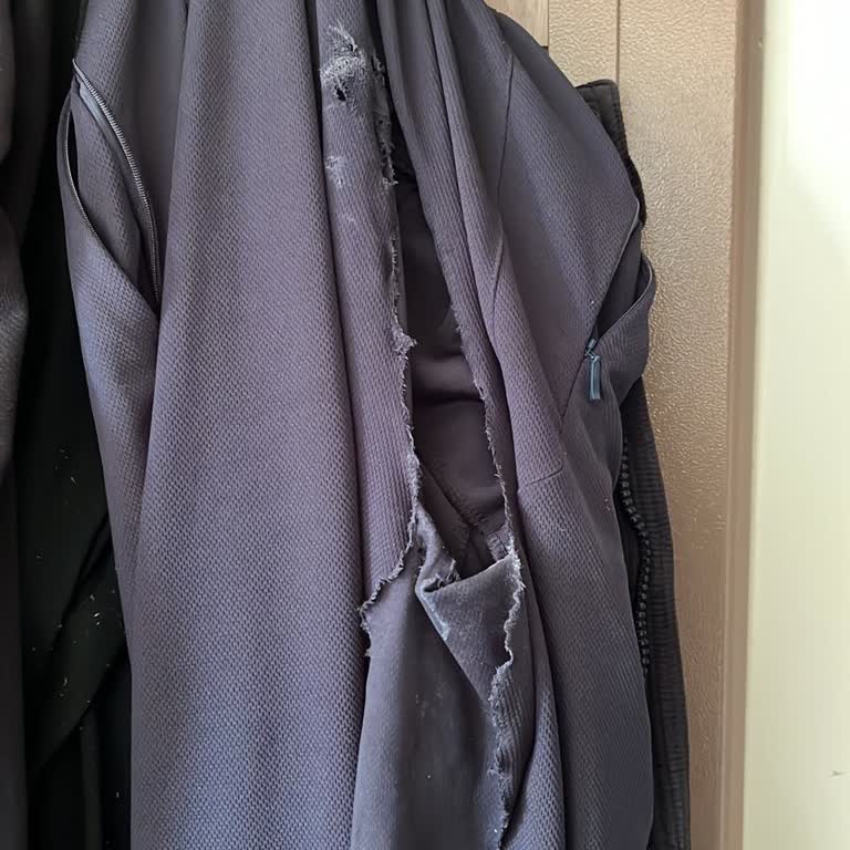 Lescon Markasının Sistemsizliği, Bununla Gelişen Mağduriyet