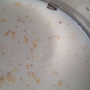 Birşah Sütün İçinden Böcek Çıktı