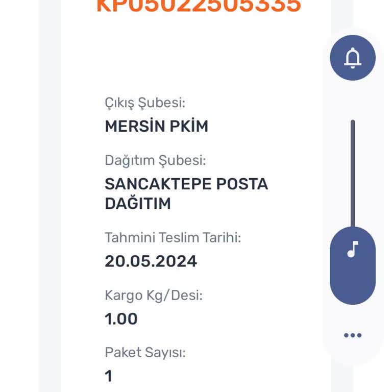 PTT Kargo Teslimat Süresi Uzun Mersinden İstanbul'a7gün De Teslimat