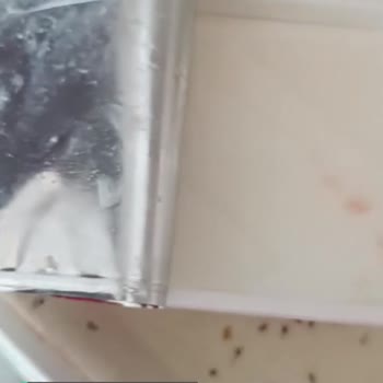 Pınar Süzme Peynirin Hali