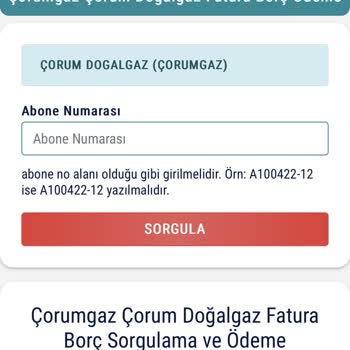 Elekse KGM Turizm Şikayet