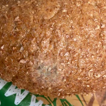 Kuşadası AVM 5mm Migros Küflü Ekmek