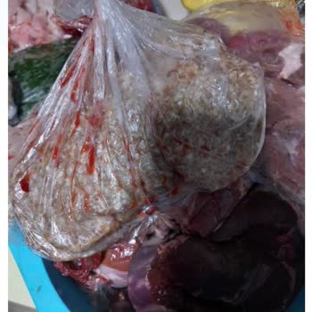 Vestel Nofrost Buzdolabı Sorunu Ve Müşteri Memnuniyetsizliği