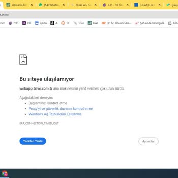Trive Yatırım Menkul Değer Saatlerce Çalışmayan Servisler
