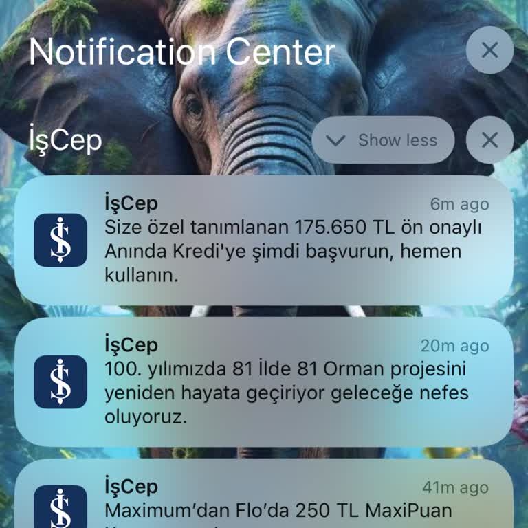 İş Bankası Bitmek Bilmeyen Kampanya Bildirimleri