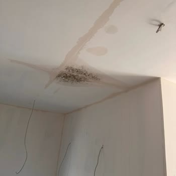 Özok Steel İş Bilmezliği Ve Bizim Mağduriyetimiz