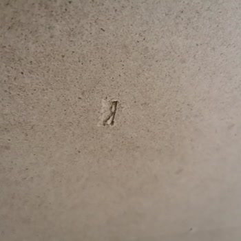 Kilim Mobilya Servisi Yapacağı Ürünlere Hep Hasar Verdi