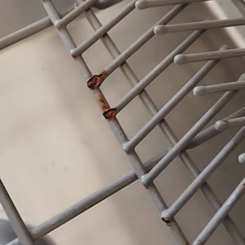 Teka Bulaşık Makinesi 4 Yılda Sepet Küflendi!