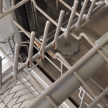 Teka Bulaşık Makinesi 4 Yılda Sepet Küflendi!