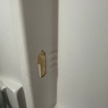 Vestel Buzdolabı Garanti Hakkında