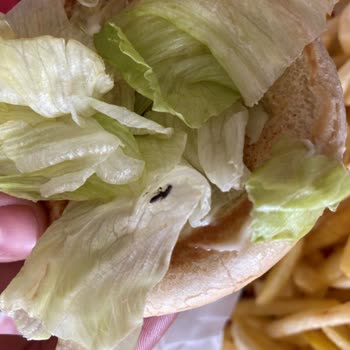 Burger King Hamburgerden Böcek Çıktı