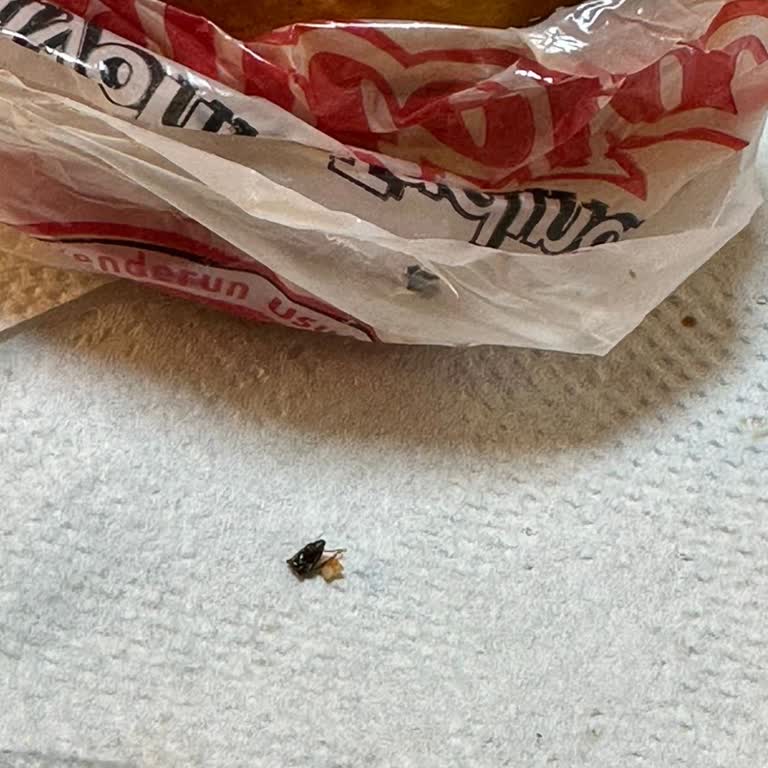 Öncü Döner Dürümün İçinden Böcek Çıktı!