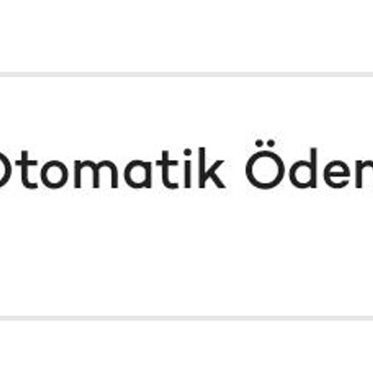 Gecikmeli Kart Ödemeleri Ve Faiz Sorunu - Akbank'a İade Talebi