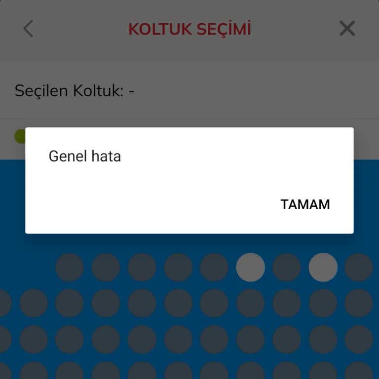 Passolig GS Maç Bileti