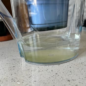 Brita Sürahi Küf Problemi