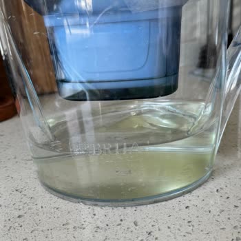 Brita Sürahi Küf Problemi