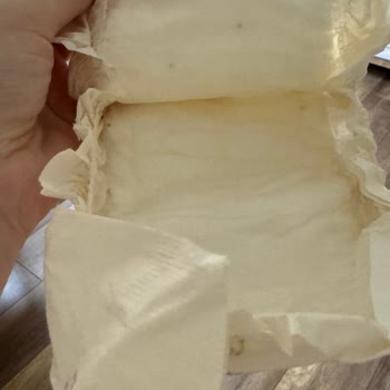 Sleepy Ecologic Serisi İçindeki Tohumlar Başımıza Bela Oldu