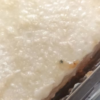 BİM Kıbrıs Tatlısı Küflü Ve Bozuk.