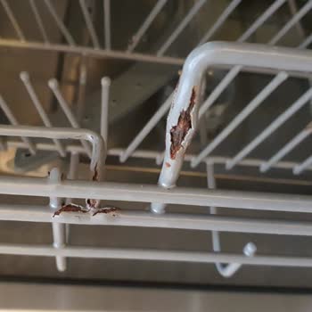 Teka Marka Bulaşık Makinesi Selesinin Paslanması