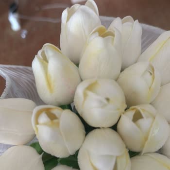 Gelincicegi_flora (Instagram) Bu Kadın Durdurulsun